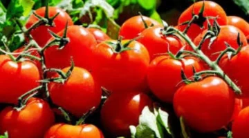صدمة في الأسواق بعد ثبات تكلفة وجبة الغذاء عند 700 جنيه